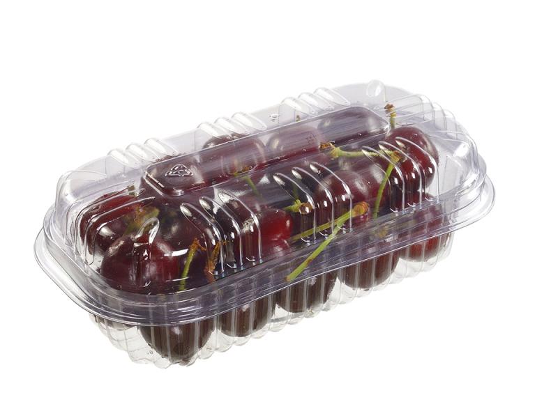 Leva Frutas e Legumes Mini 2 Furos Tampa e Base